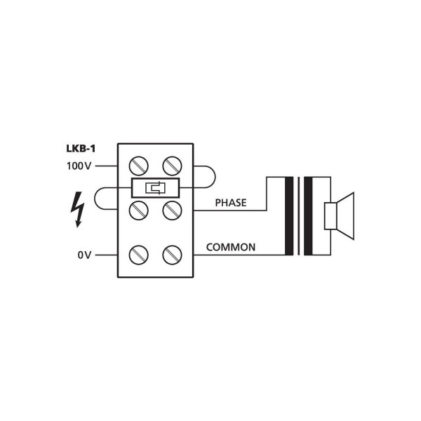 LKB-1