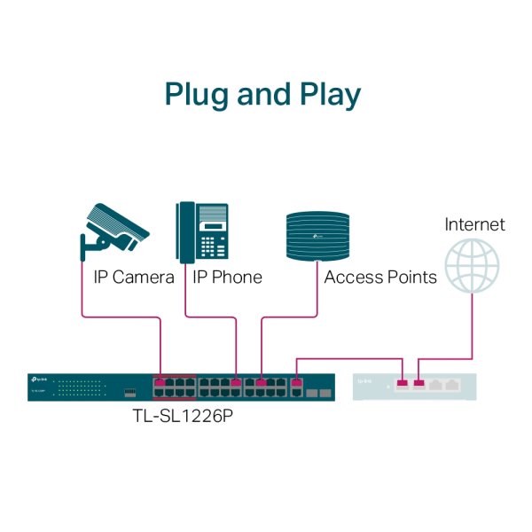 IP24 SWITCH POE 250