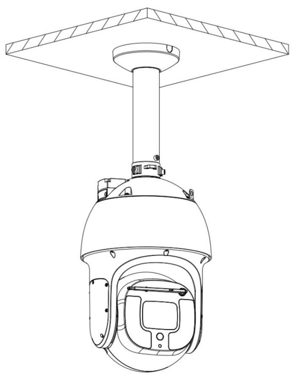 Dahua PFA118