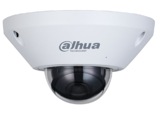Dahua IPC-EB5541-AS