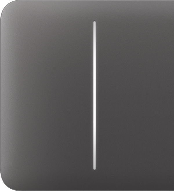 AJAX SideButton 2-gang Grey Bočné tlačidlo