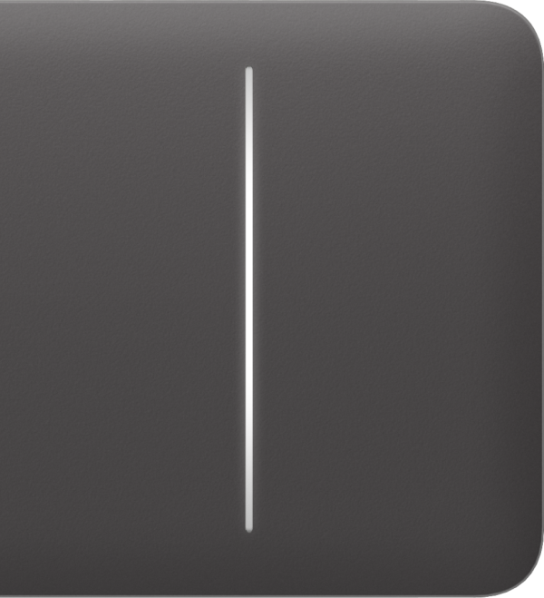AJAX SideButton 2-gang Grey Bočné tlačidlo
